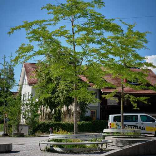 Bild von Bachstrasse Urdorf